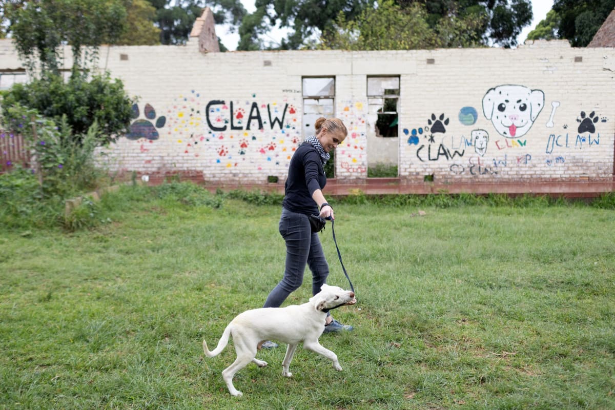 This Joburg Clinic Treats Pets Without Water or Power - Image 2