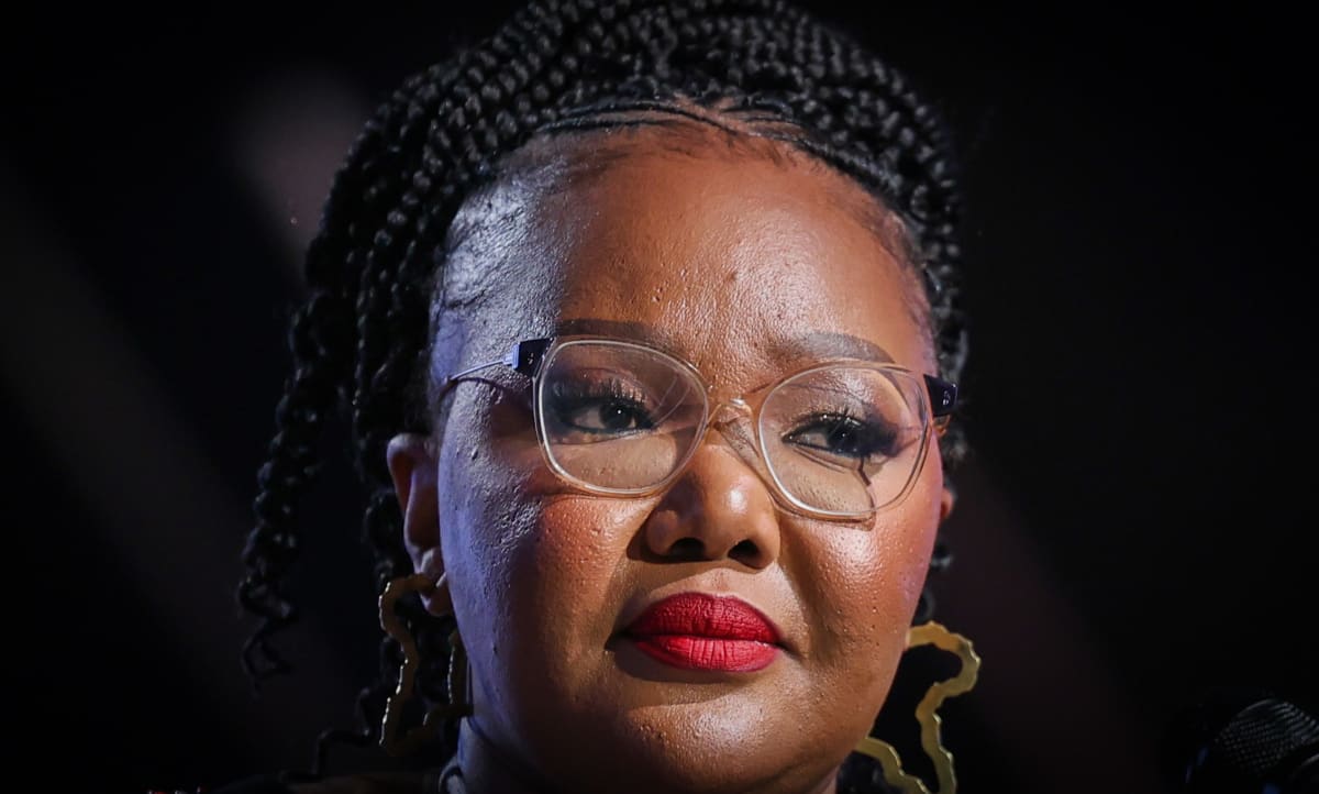 South Africa Minister Battles Corruption for 9.6M Students - Image 3