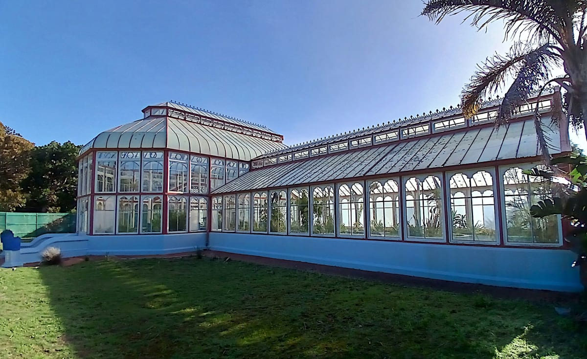 142-Year-Old Victorian Greenhouse Blooms Again in South Africa - Image 2