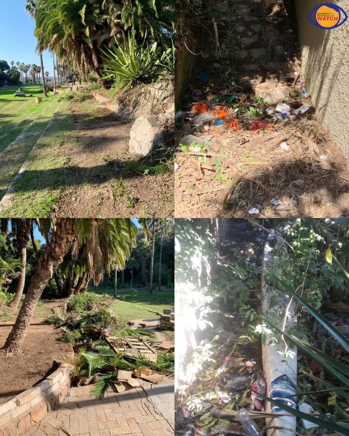 South Africa's Happy Valley Restored by 300+ Volunteers - Image 3