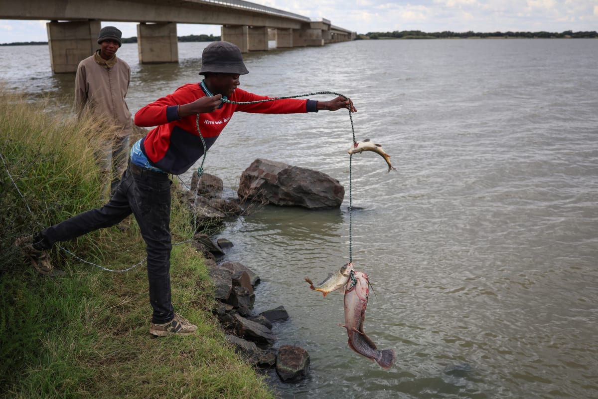 Three Fishermen Build Livelihoods at Bloemhof Dam - Image 3