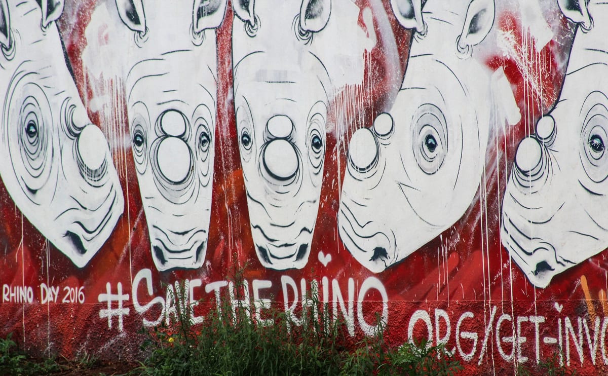 Failed Rhino Plan Sends $9.6M to African Conservation - Image 3