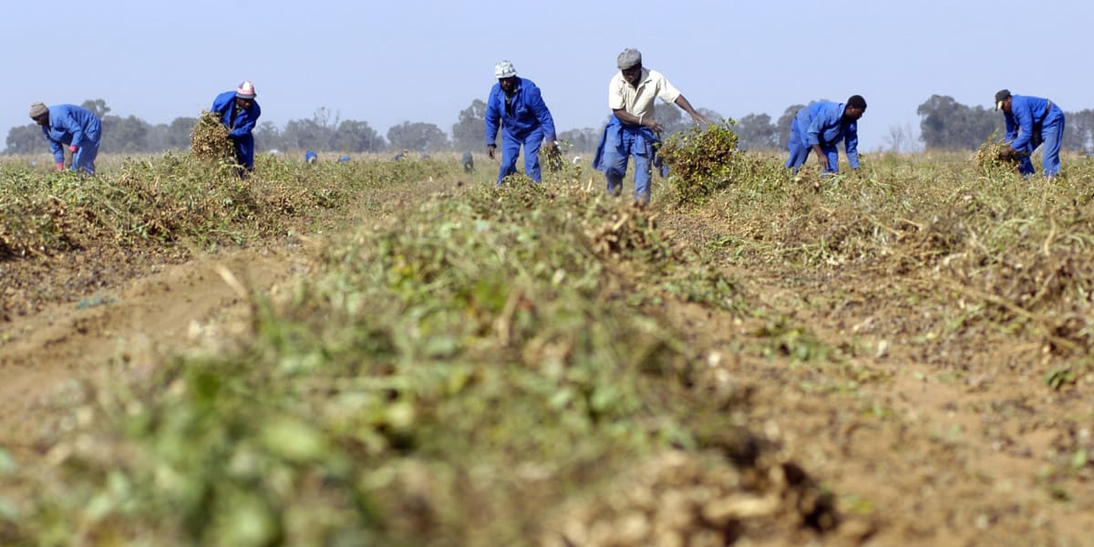 South Africa's Food Prices Hit 16-Year Low at 0.6% - Image 3