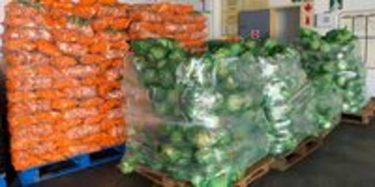 South Africa's New Food Donation Standard Tackles Waste - Image 5