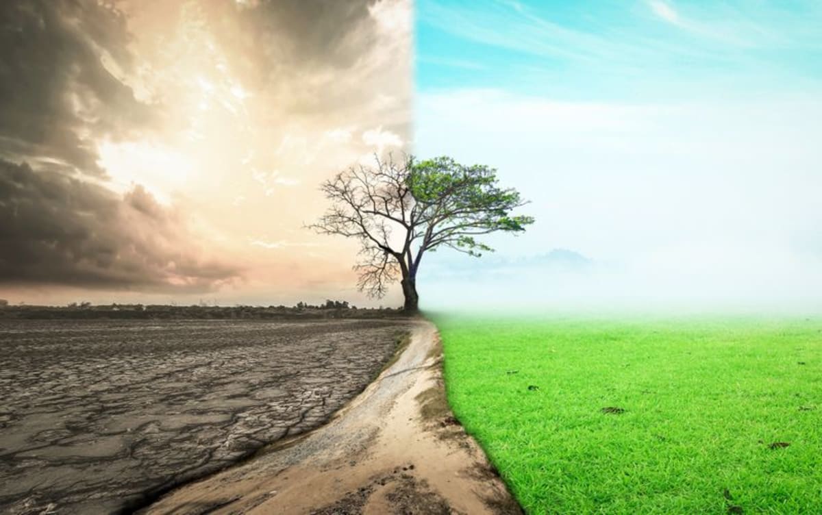 South African Farms Restore Soil and Fight Hunger Together