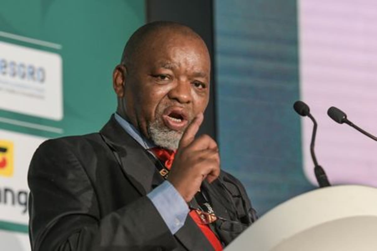 South Africa Secures Major Gas Partner to Avert Energy Crisis - Image 4