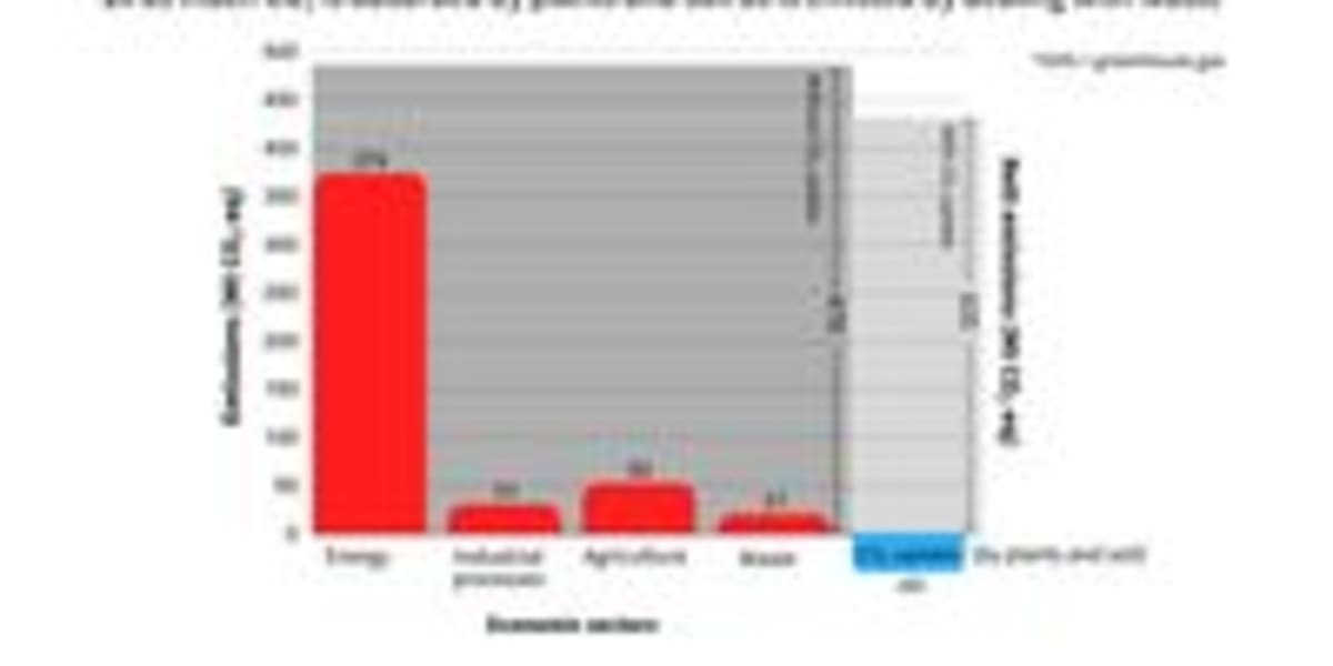 South Africa on Track to Meet 2030 Climate Goals - Image 5