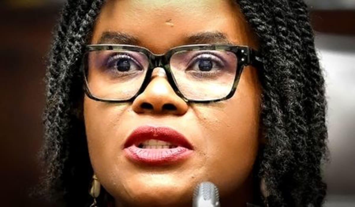 South African Official Takes Full Blame for Ethics Breach - Image 4