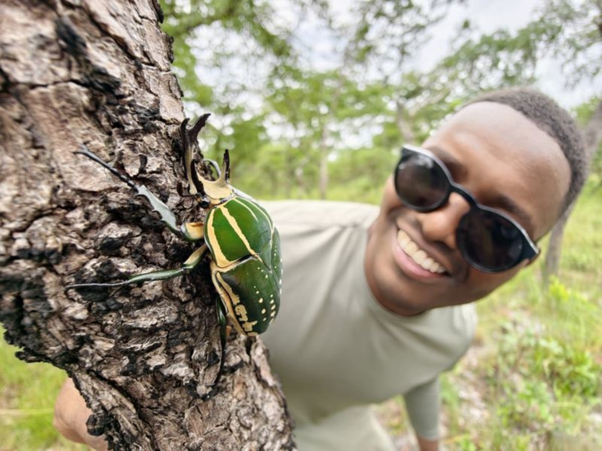 Angola Survey Finds Dozens of New Species in Highlands