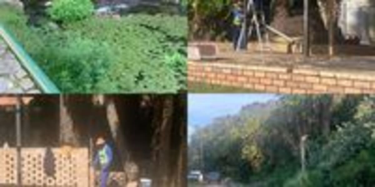 South Africa's Happy Valley Restored by 300+ Volunteers - Image 4