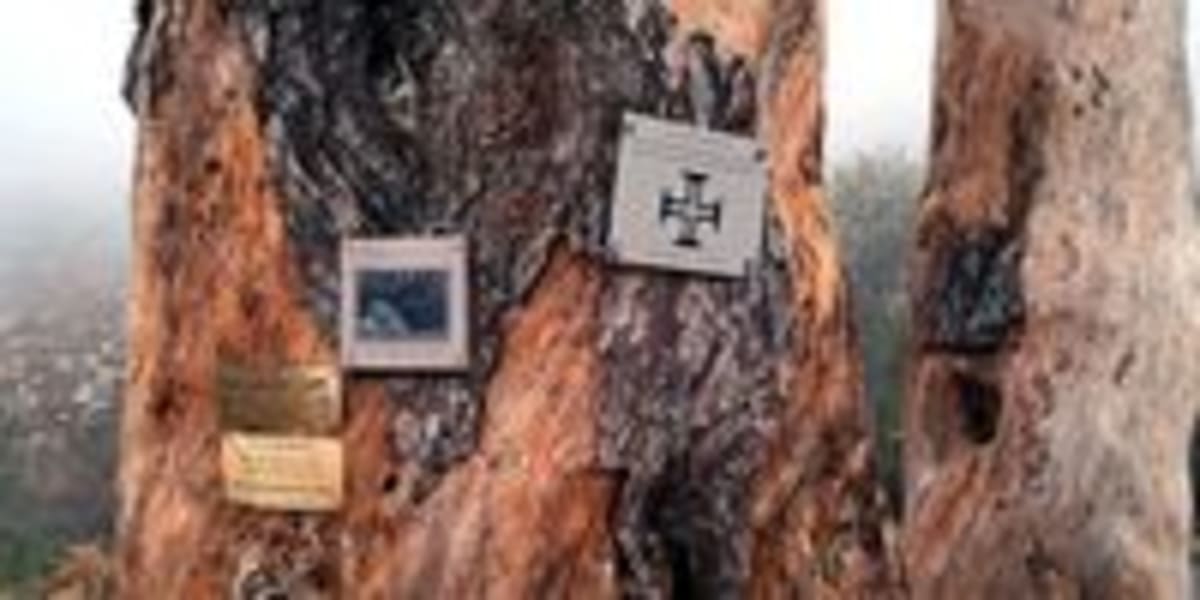 Table Mountain Wins Legal Rights as Living Subject - Image 5