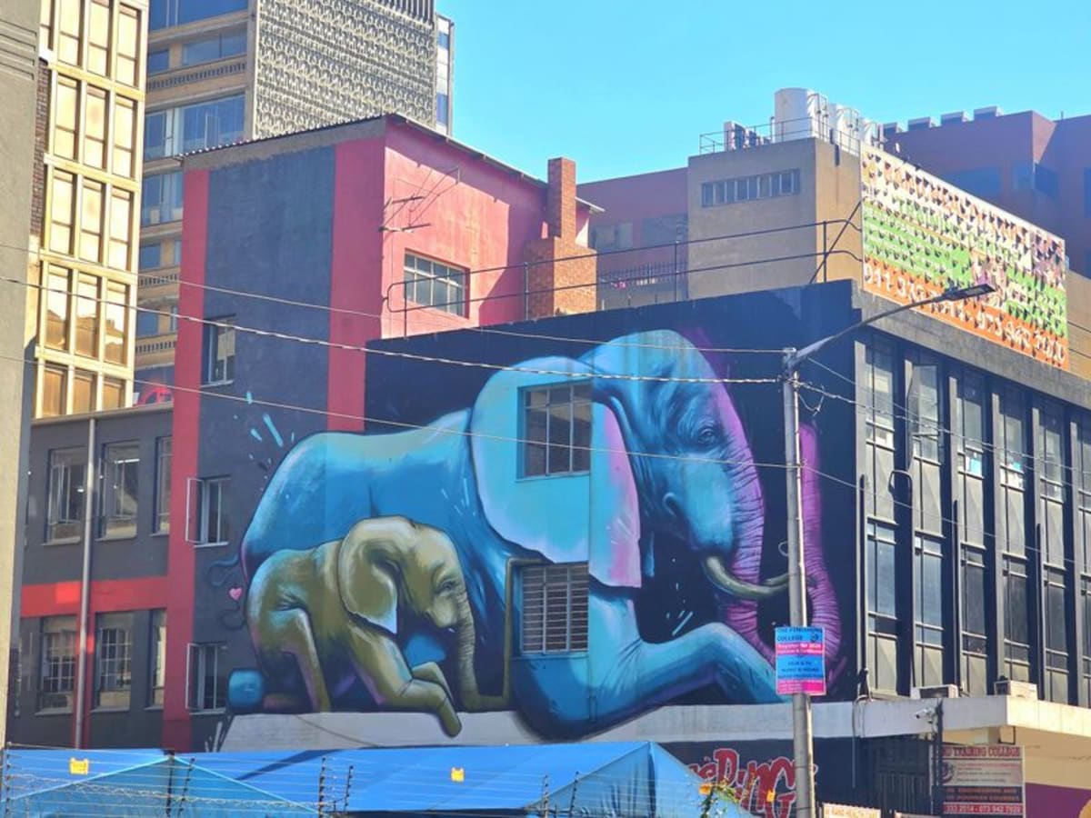 Colorful elephant graffiti mural on building wall in Braamfontein, Johannesburg by artist Falko One
