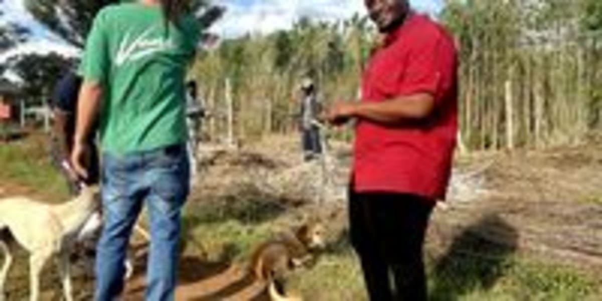 Young South Africans Build Hemp Textile Industry From Scratch - Image 5