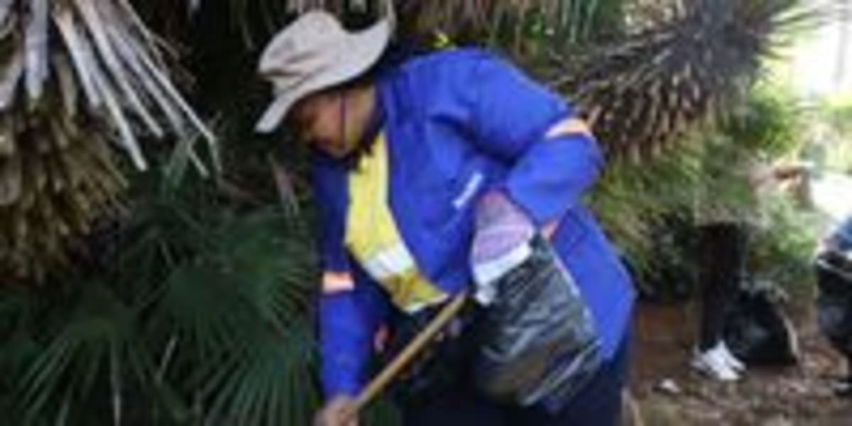 South Africa's Happy Valley Restored by 300+ Volunteers - Image 5