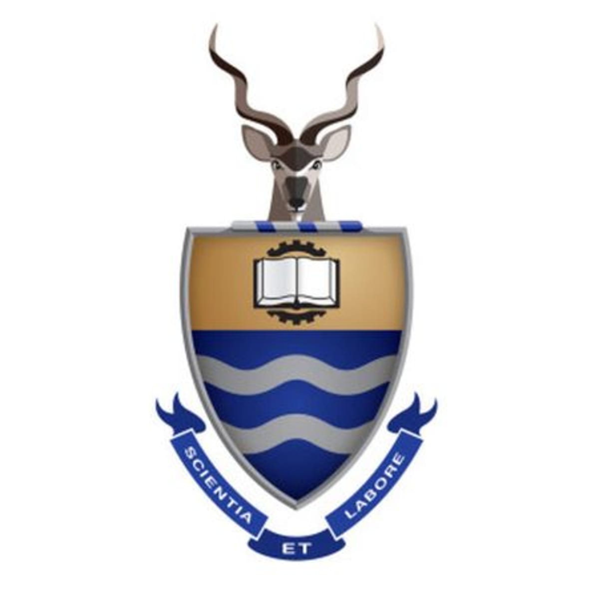Wits University Ranks #1 in Africa, Top 1% Globally - Image 2