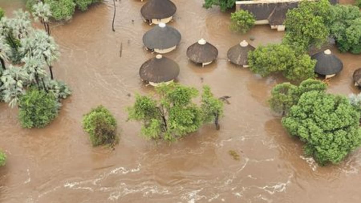 Kruger Park Staff Save Hundreds as Floods Hit Camps - Image 4