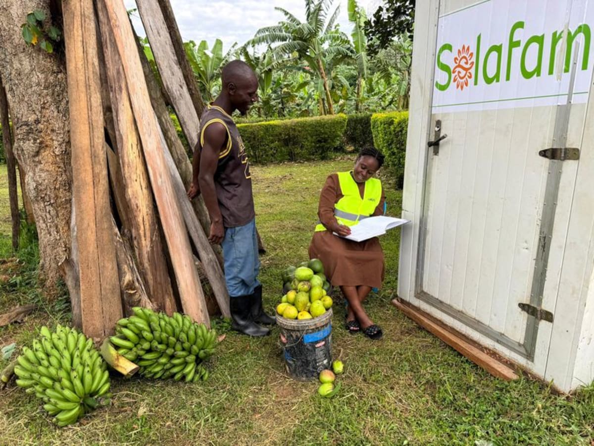 Ugandan Engineer Turns Family's Rotten Tomatoes Into Award