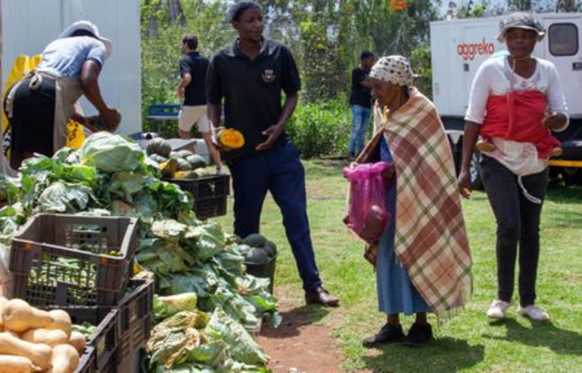 South Africa's New Food Donation Standard Tackles Waste - Image 4