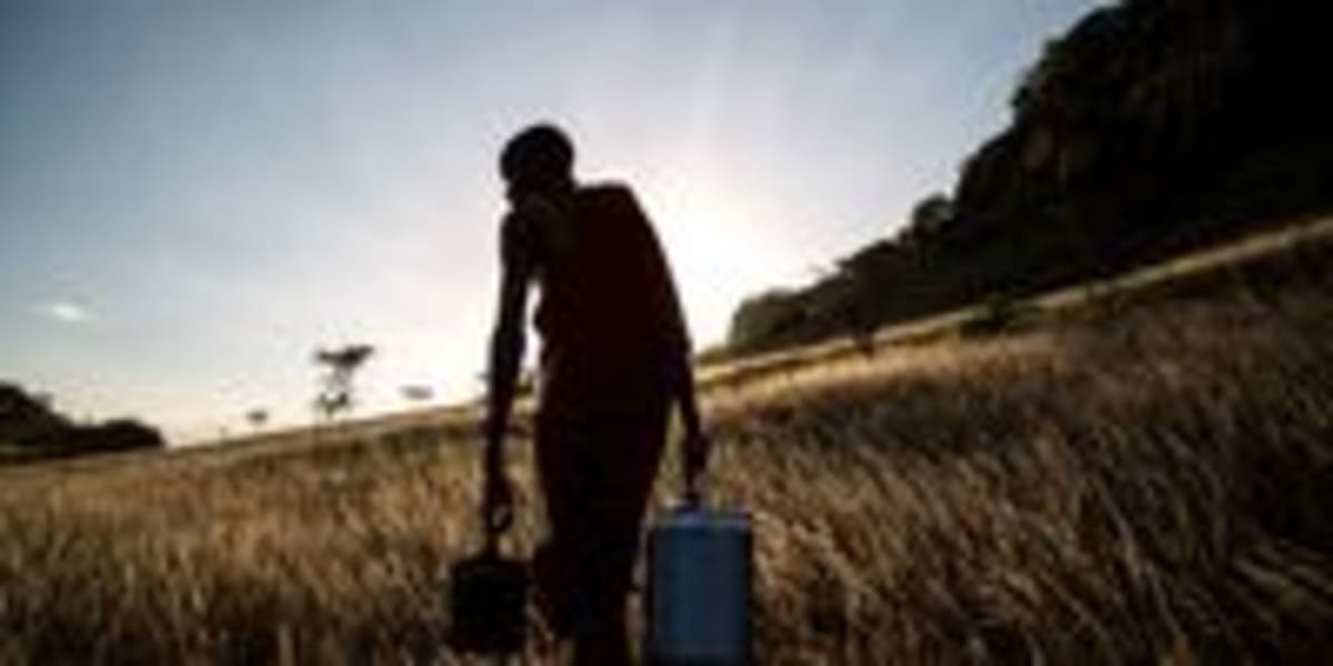 Scientists Protect Africa's Savannas from Tree Planting - Image 5
