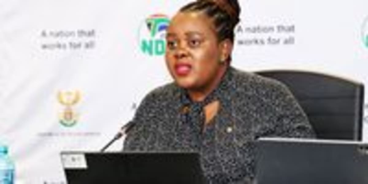South Africa Moves to Make Sex Offender Registry Public - Image 4