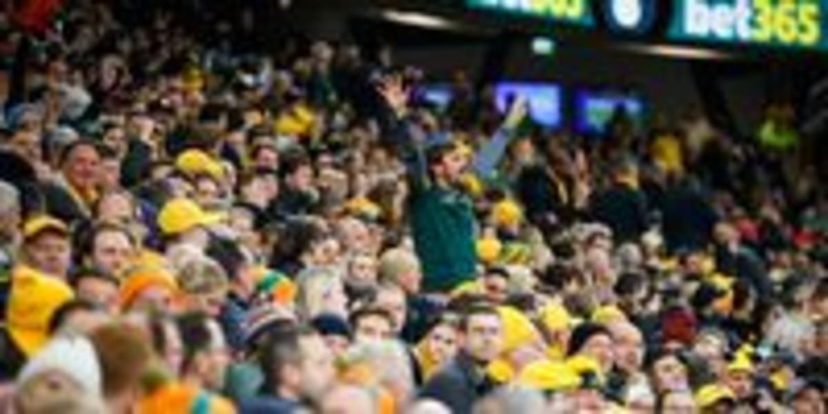 Rugby Now South Africa's Top Sport After Springbok Wins - Image 4