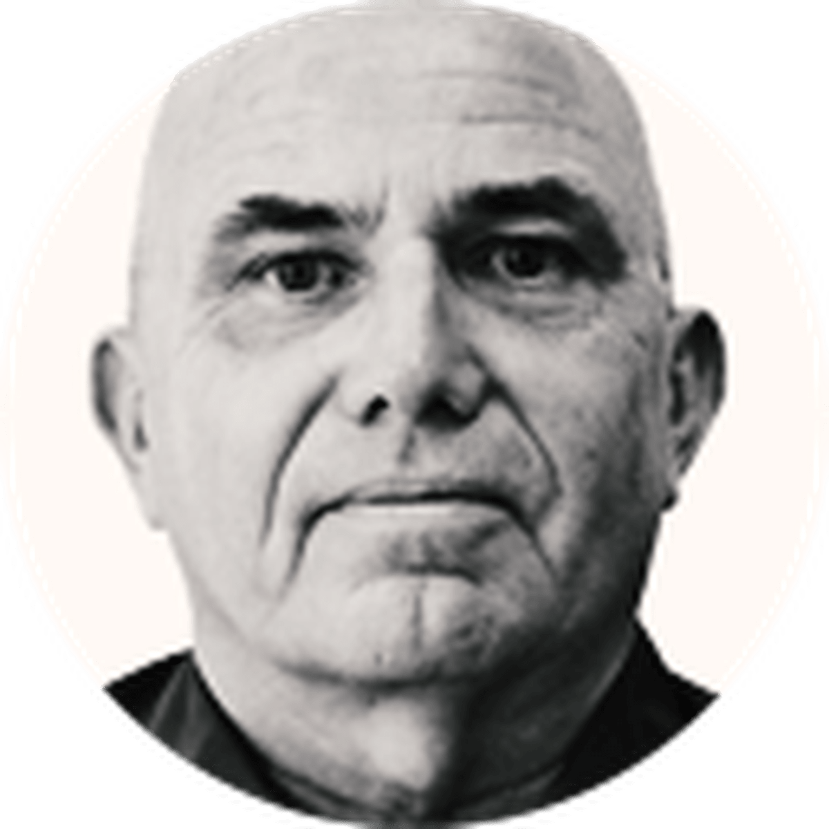 China Deploys 20,000 Hydrogen Trucks Using Platinum Tech - Image 2