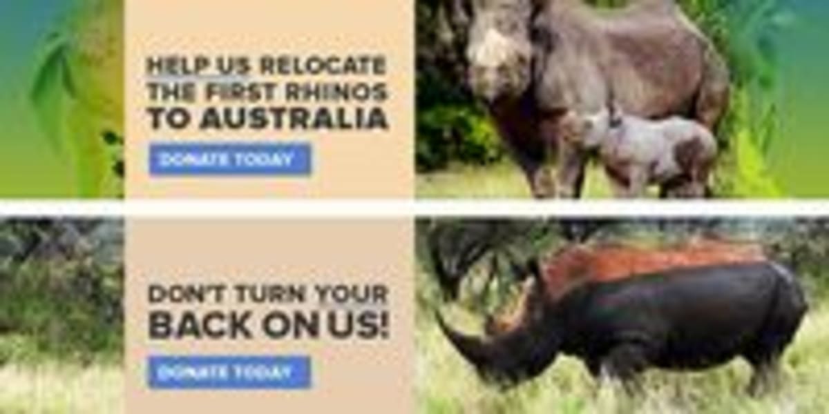 Failed Rhino Plan Sends $9.6M to African Conservation - Image 4
