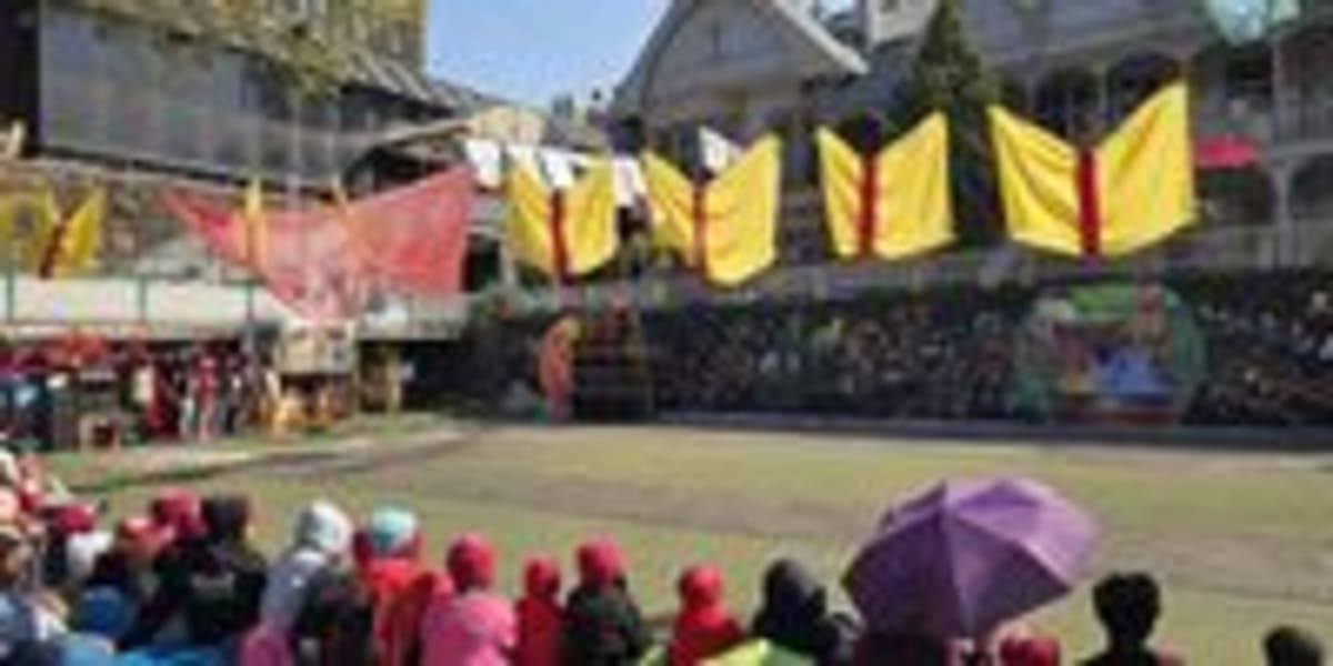 Hillbrow Carnival Turns Streets Into Sky With Bird Parade - Image 4