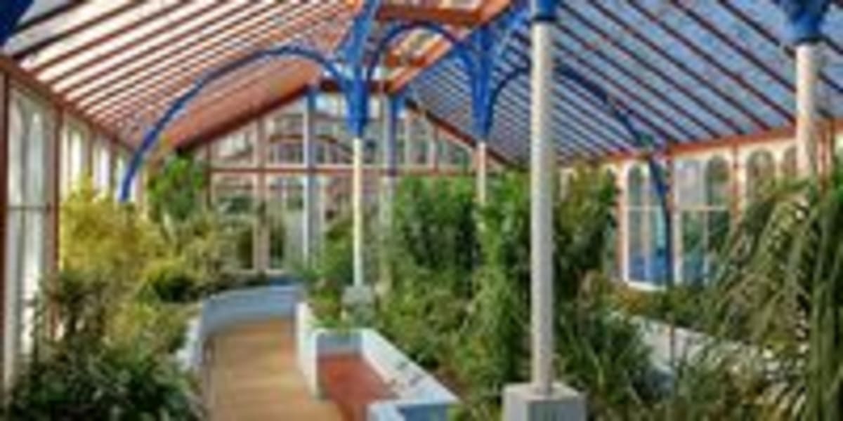 142-Year-Old Victorian Greenhouse Blooms Again in South Africa - Image 5