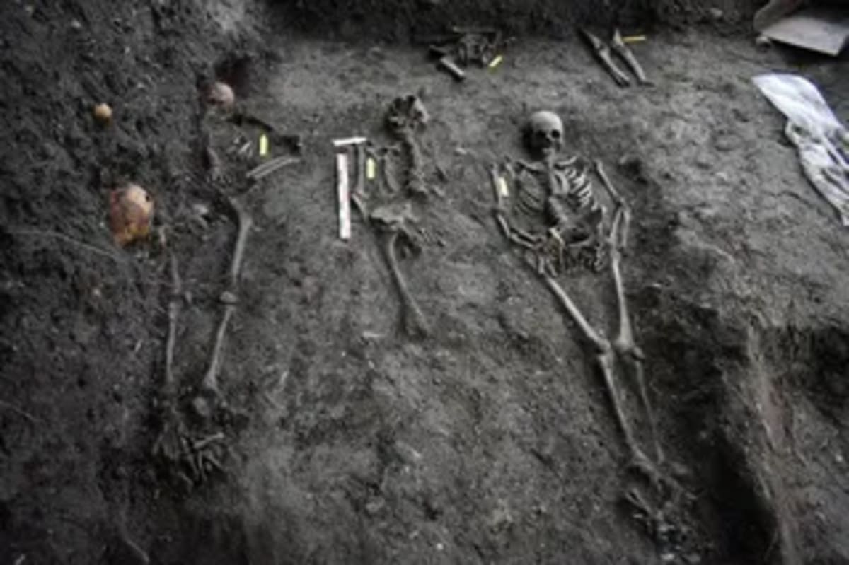 500-Million-Year-Old Fossil Fills Evolution Gap - Image 4