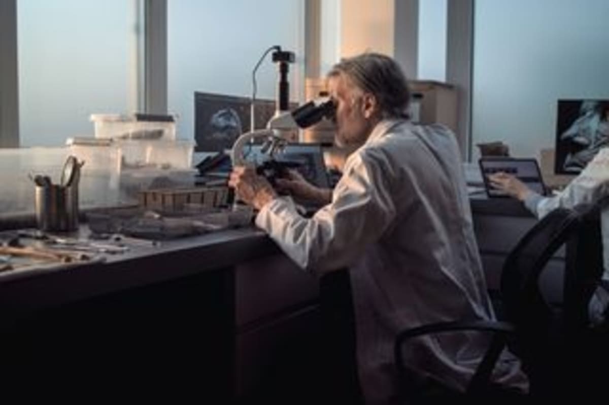 500-Million-Year-Old Fossil Fills Evolution Gap - Image 3