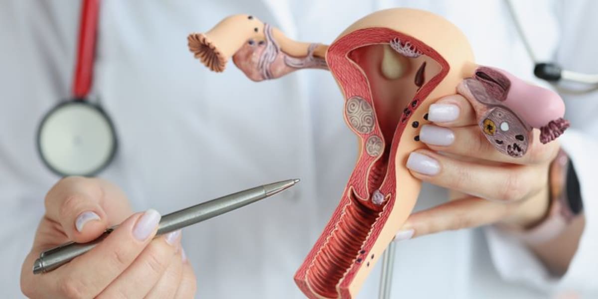 New Menopause Treatment Works Without Hormones