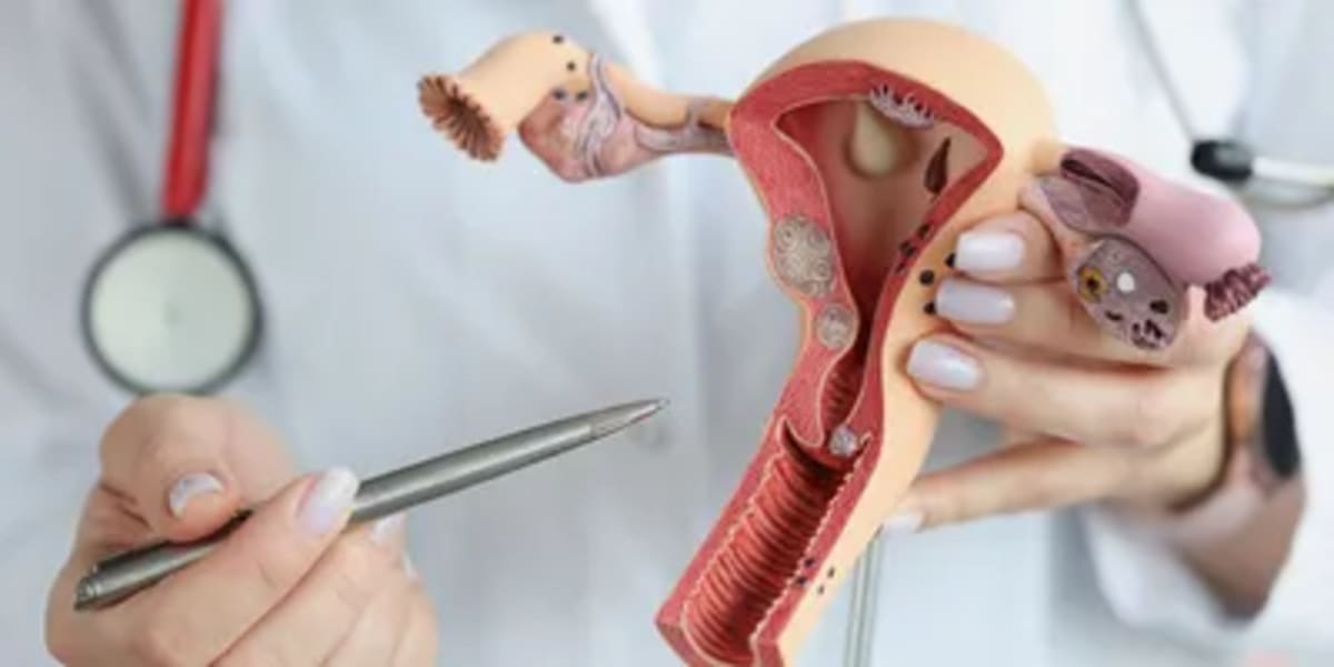 New Menopause Treatment Works Without Hormones - Image 4