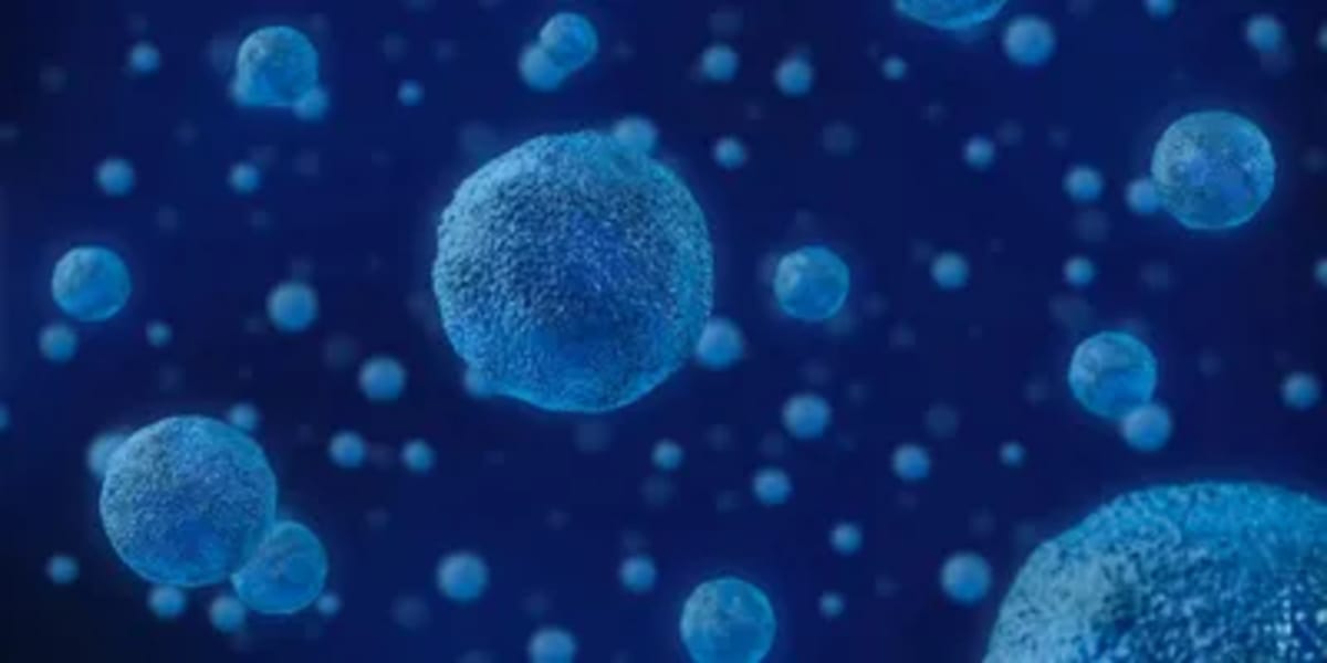 New Menopause Treatment Works Without Hormones - Image 5