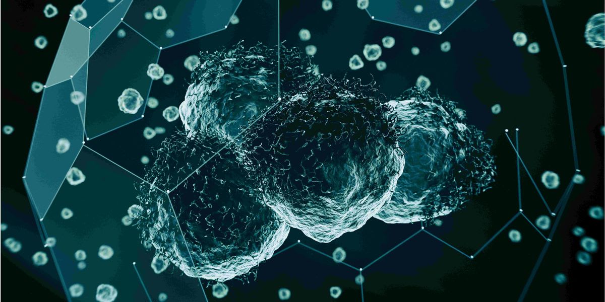 AI Maps Tumors Cell by Cell to Predict Cancer Spread - Image 2