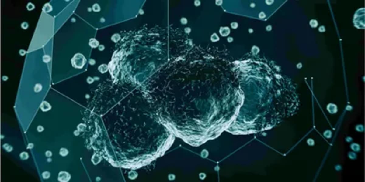 AI Maps Tumors Cell by Cell to Predict Cancer Spread - Image 3