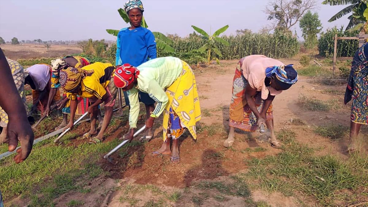 Nigerian Women Farmers Fight Hunger With Solar, Cold Storage