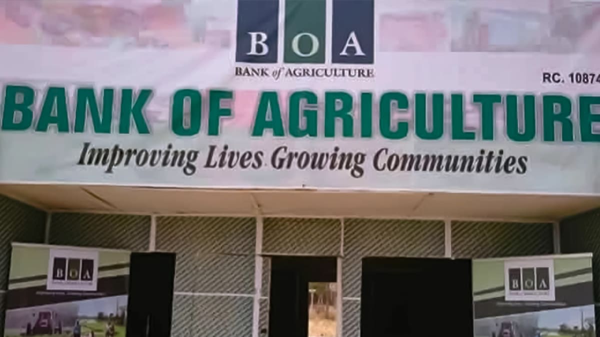 Nigeria Bank Creates $2T Framework for Clean Farm Energy
