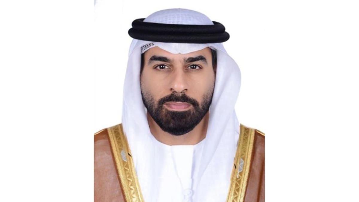 UAE Commits $4.5B to Bring Clean Power to 100M Africans