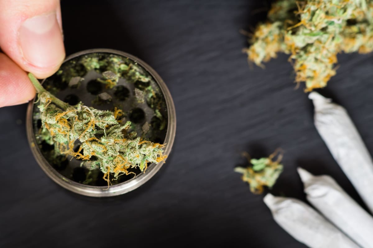 US Reclassifies Marijuana as Less Dangerous Drug - Image 2