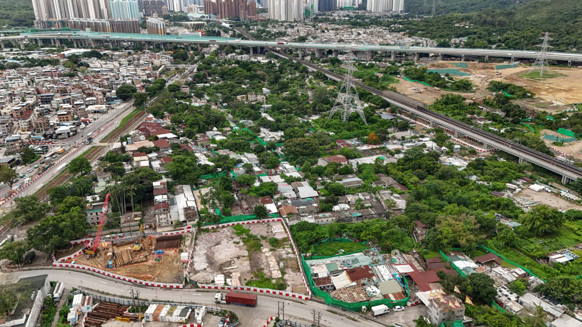 Hong Kong Man Saves Grandpa's Trees With Adoption Program - Image 4