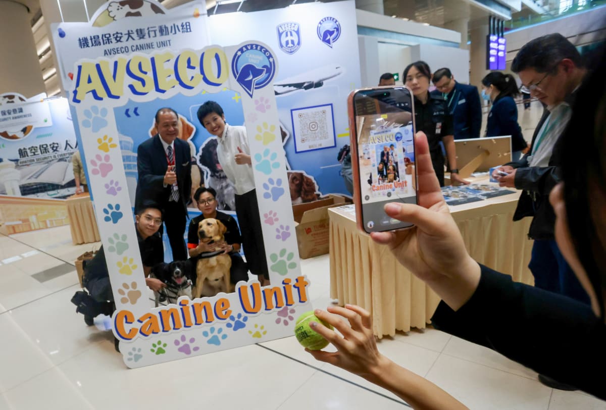 Hong Kong Airport's 20 Detection Dogs Now Guard Terminal 2 - Image 3