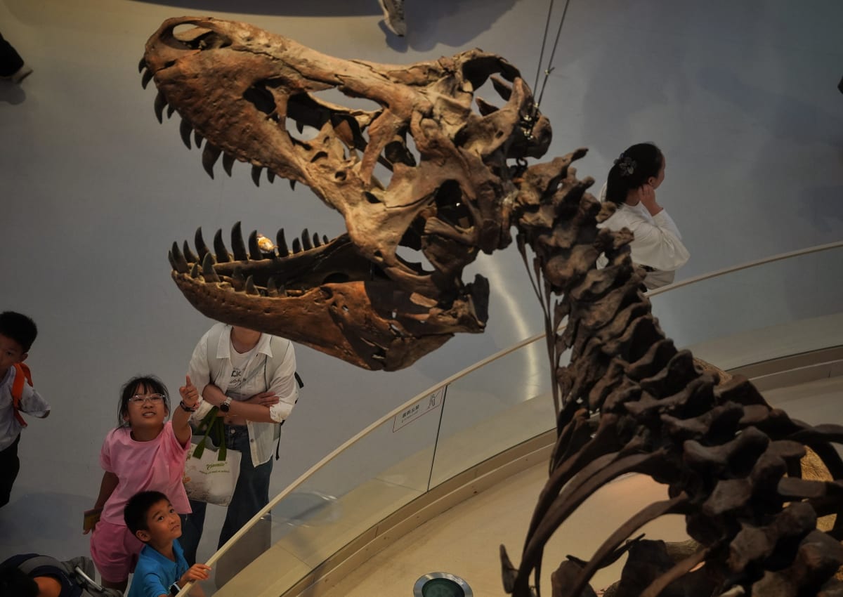 Hong Kongers Flock to Shenzhen's New Cultural Museums - Image 3