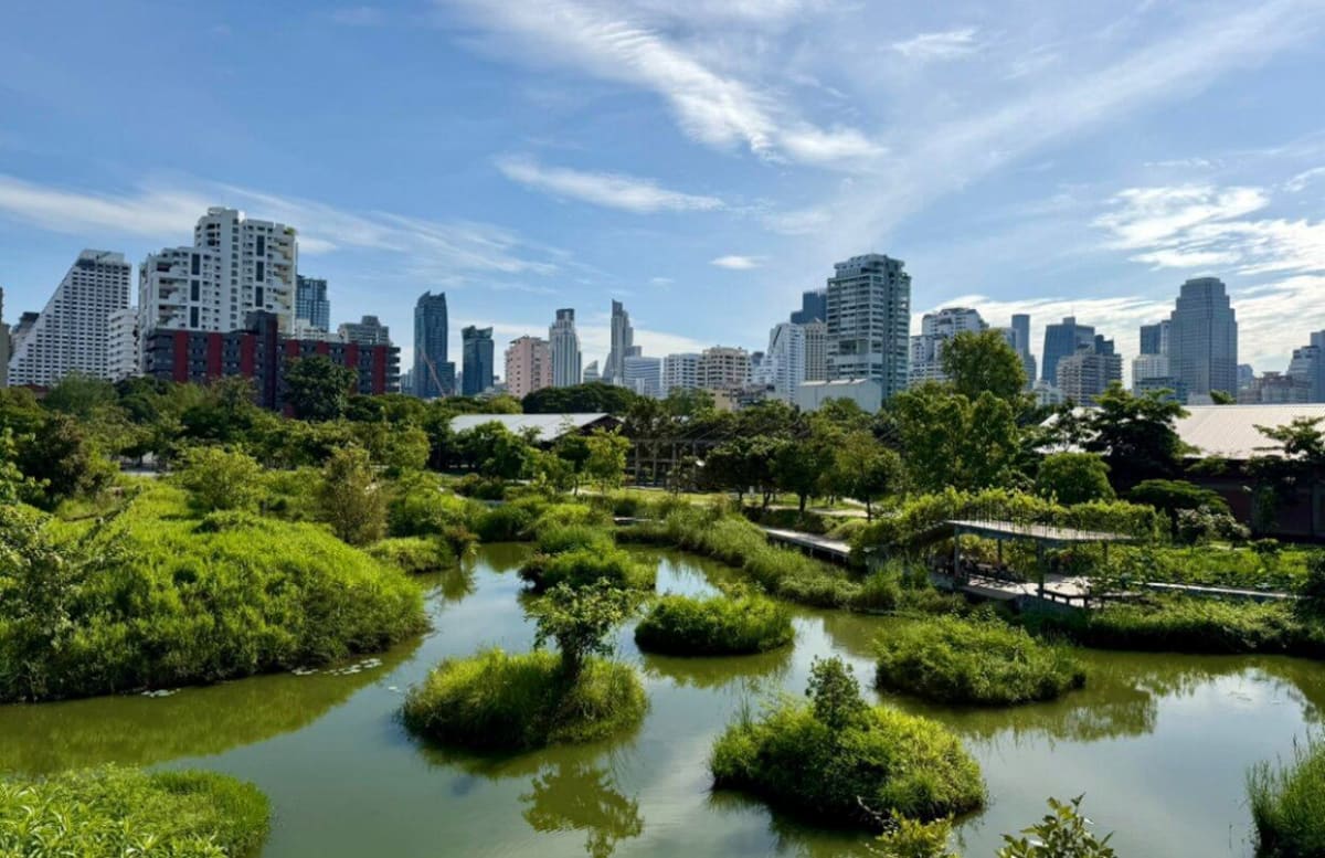 Bangkok Turns From Concrete Jungle to Green Paradise - Image 2