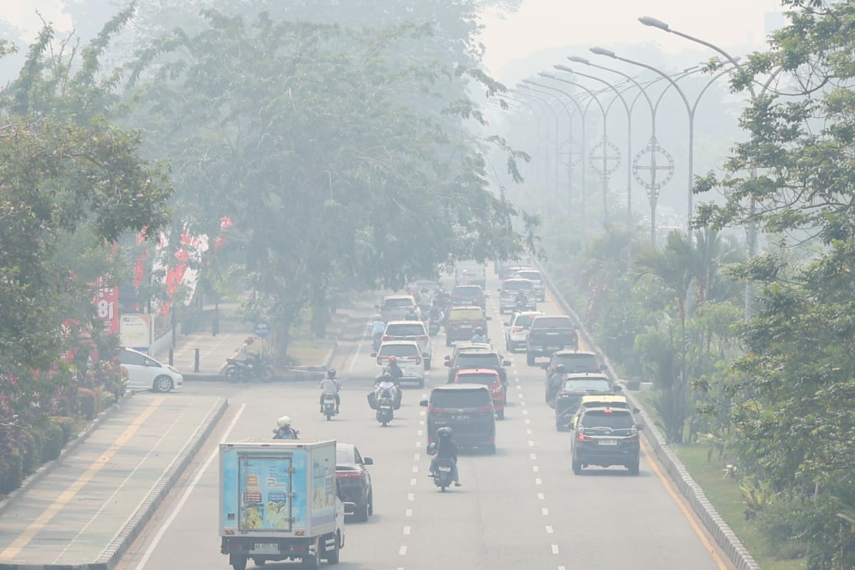 Indonesia Deploys 1,500 Troops to Battle Borneo Wildfires - Image 3