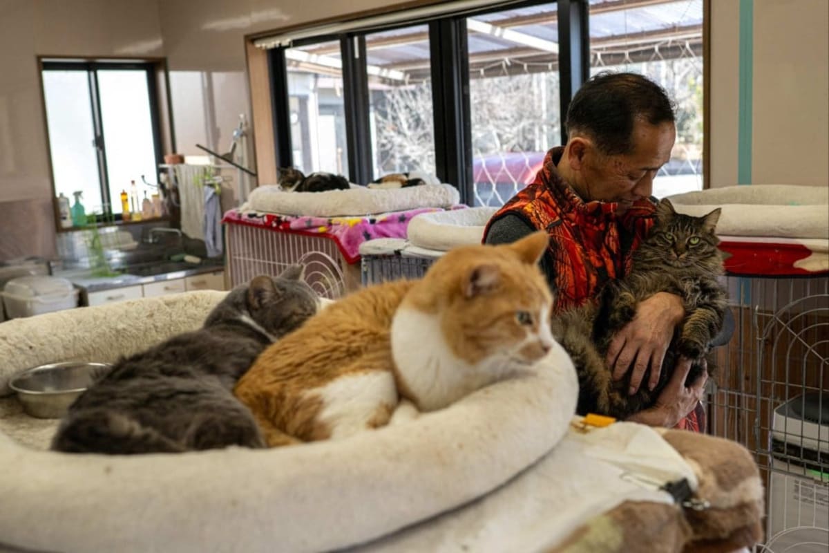 Fukushima Worker Saves 1,000+ Pets Left Behind in Disaster - Image 2