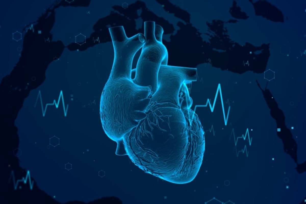 Shanghai Lab Grows Living Heart Pacemaker from Stem Cells - Image 2