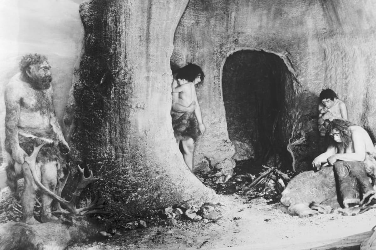 Neanderthals Performed Root Canals 60,000 Years Ago - Image 2