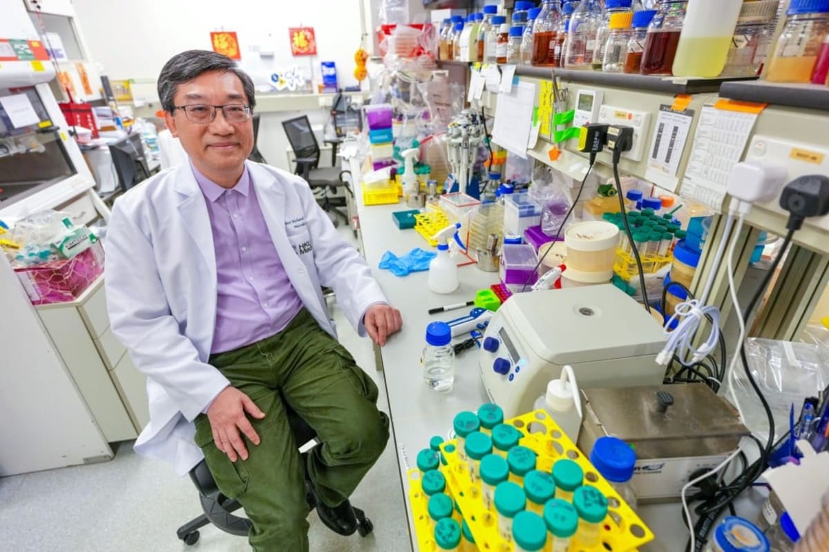 Hong Kong Scientists Tame Eczema Bacteria Without Antibiotics - Image 2
