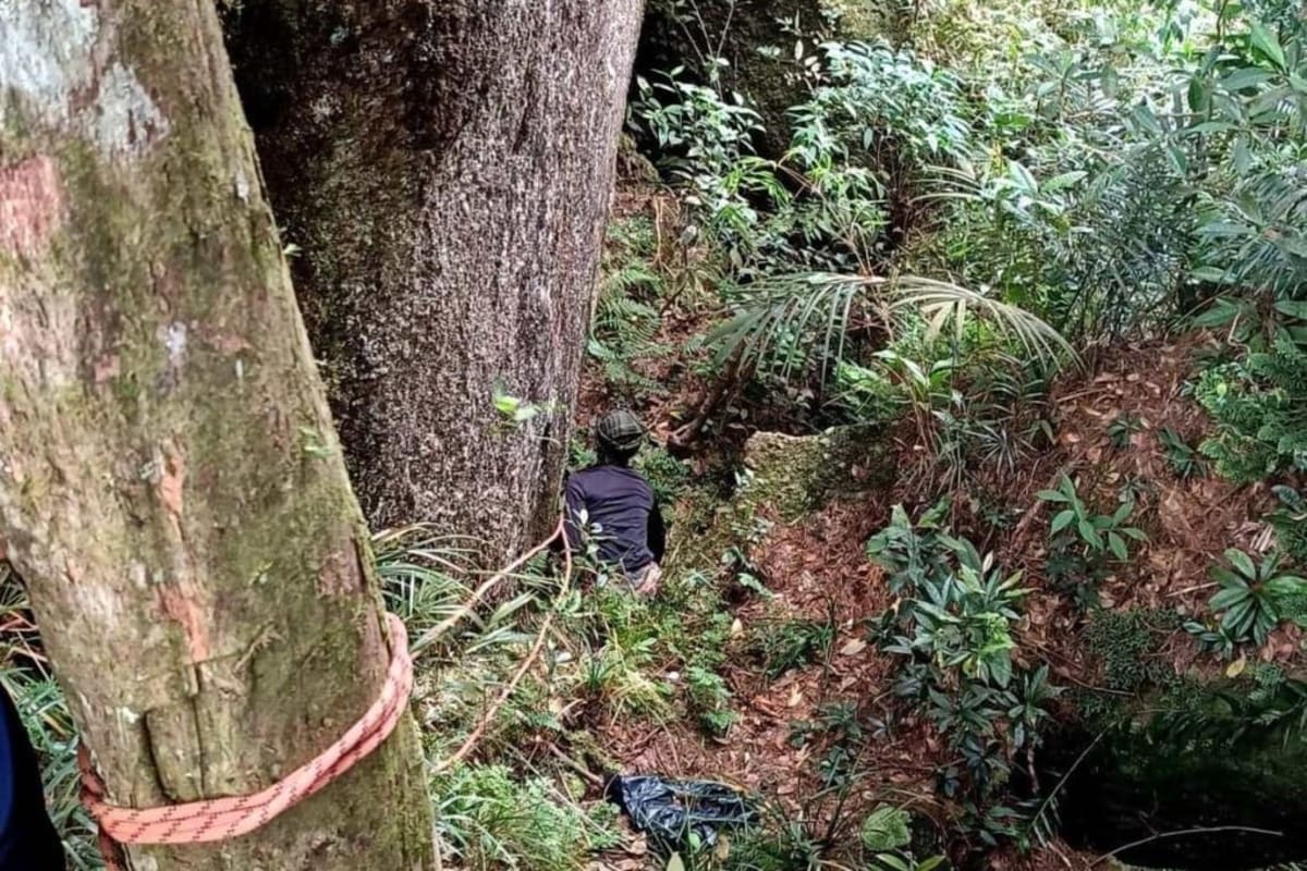 Malaysian Hiker Survives 2 Weeks Lost in Mountain Forest - Image 2